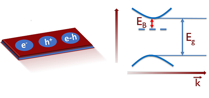 Transient absorption spectroscopy, 2D semiconductors – Institute of ...